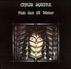 LP Record CHRIS SQUIRE - Fish Out Of Water P10068A ATLANTIC 1975 Japan Rock Used