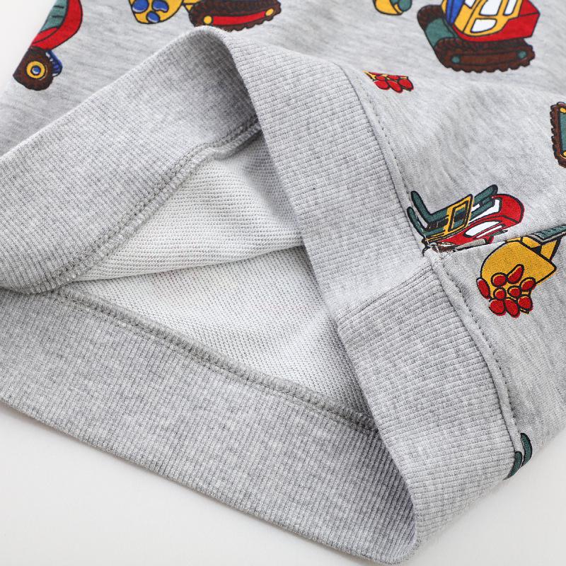 Autumn New Arrival Boys' Cartoon Hoodie - European & American Style