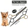 1PC Diagonal Tail Black Gold Hair Scissors, Beauty Scissors, Pet Scissors, Bang Scissors, Teeth Scis