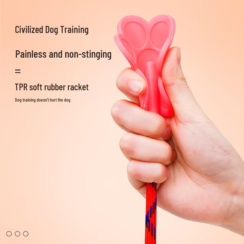 Pet Training Wand with Heart Design (3-Pack)