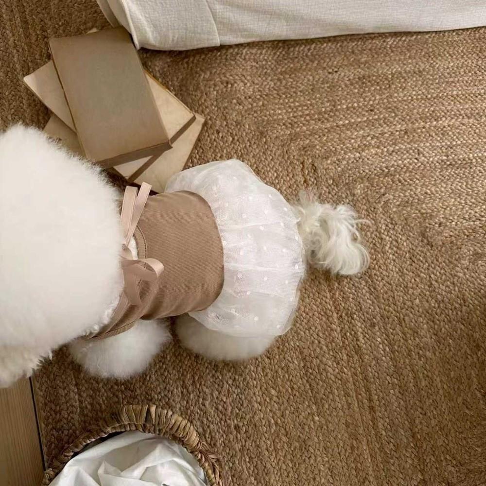 Lace Dog Dress Thin Mesh Mesh Skirt Fashion Dog Clothes  Dog Accessories
