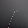 5 Pcs Professional Ear Picking Tools Set With Soft Feather Tips Stainless Steel Handles For Salon Home Ear Care Use
