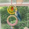 With Bell Bird Swing Toy Colored Ring Braided Chew Toy Hanging Parrot Ring Toy  Bird Cage Use