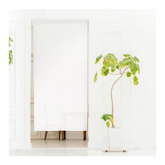 Noren Kobo Noren, Plain, Simple, Long, White, Natural, For Stores, Restaurants, Room Dividers, White, Width 85cm, Length 170cm, Checkered Lace 95081