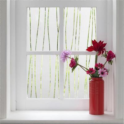 Pentru geamuri – Foliile de ferestre