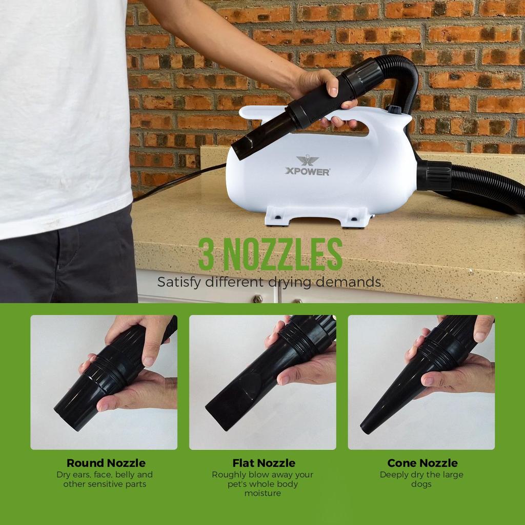 XPOWER B-163 Low Noise Pet Hair Dryer Tierhaartrockner-Kit Heissgerät Bandlüfter EU Plug