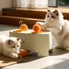 Katten – Speelgoed voor katten