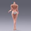 Scale Female Action Figure Seamless Action Figure Female Figure Soft Flexible Action Figure Body with Detachable Hand Gestures 1/6 Body, 12-Inch Body,