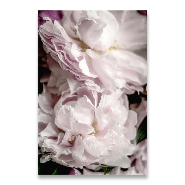 Oil Painting Blooming Peony Petals Nordic Art Poster
