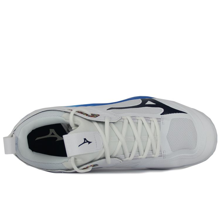 Mizuno Wave Momentum 2 Low-Top Non-Slip Support Volleyball Shoes Unisex Shoes White Black Blue V1GA211200