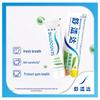 Sensodyne Fresh Mint Sensitive Toothpaste with Toothbrushes