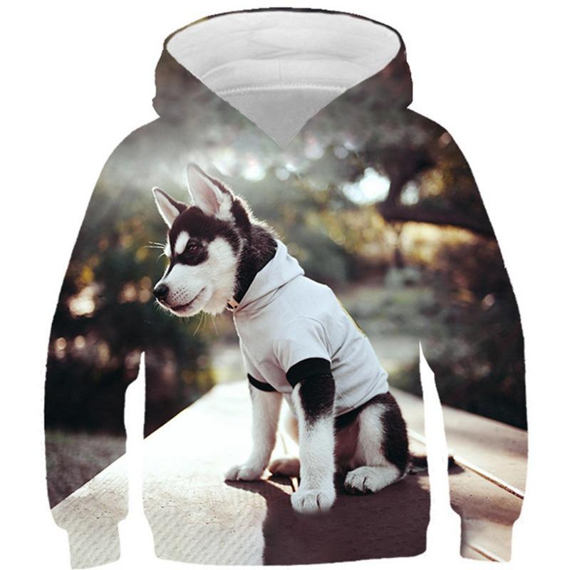 Autumn 3D Animal Pattern Printed Hoodies Fashionable Casual Sports Long Sleeved Children's Boy Hooded Sweatshirts
