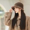 Plush Bucket Hat Women's Autumn and Winter Plush Thickened Thermal Basin Hat Elegant Middle-aged and Elderly Hat