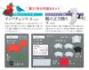 Fun Tsumami Zaiku 31 No. [Encyclopedia] (with kit)
