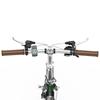 OT02PRO, rosso/verde, potenza motore 250W, 36V, batteria staccabile 5.2AH, pneumatici 20*1.35 pollici, bicicletta elettrica da città, velocità massima 25KM/H