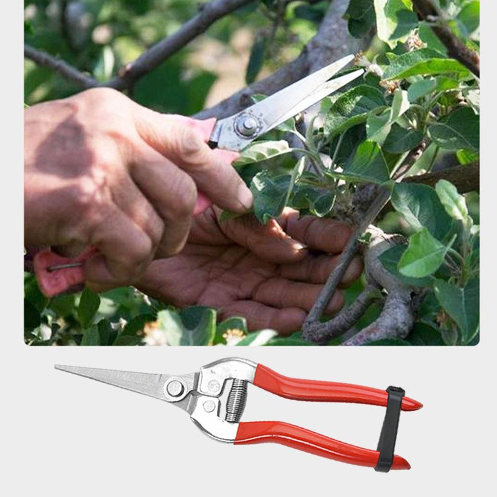 Stainless Steel Pruner Garden Shears - Easy And Efficient Garden Pruning Tools Garden Scissors Gardening Tools