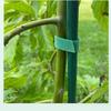5/10 M Adjustable Plant Tape 10MM Plant Supports Bandage Green Garden Tie  Bamboo Cane Wrap