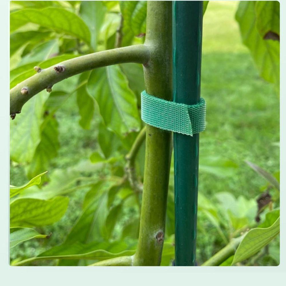 

5/10 M Ties 10MM Green Garden Tie Reusable Adjustable Plant Supports Fastener Tape Climbing Plants 5M