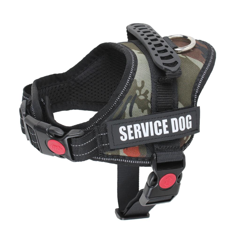 Süßes Haustiergeschirr Halsband für Welpen und Kätzchen Kleiner Hund Reflektierendes Westengeschirr Outdoor-Gehen Anti-Verlust Corgi Labrador Chihuahua