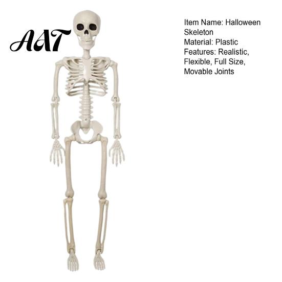 Durable Skeleton Model for Cemetery Theme Halloween Decoration, 3Ft Life Size Full Body Human Bone, Realistic Posable Simulation Bone Structure Stage
