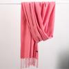 Fashion Tassels Women Scarf Shawls And Wraps Lady Designer Solid Female Hijab Stoles Long Pashmina Foulard Head Scarves