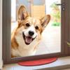 Cute Animal Peeking Window Cling Funny Cat/Dog/Donkey Window Sticker Removable Static Decals for Bedroom