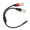 Plug and Play Balanced Dual XLR Male To 3.5mm Female 1.0ft Stereo Cable  Audio Interface