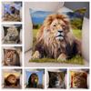Africa Lion Pillow Case Decor Wild Animal Pattern Print Pillowcase Super Soft Plush Cushion Cover for Car Sofa Home 45x45cm