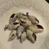10Pcs Natural Jade Shell Charms 12×26~14×34mm Seashell Pendants With Silver Bail Beach DIY Jewelry