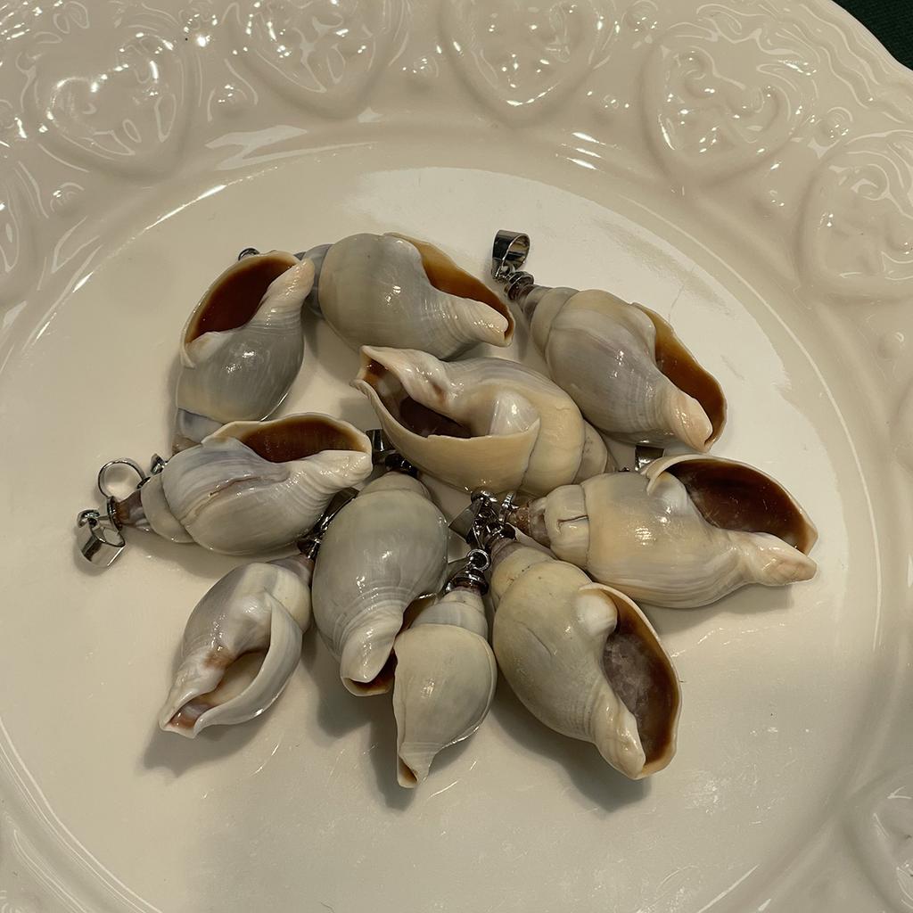 10Pcs Natural Jade Shell Charms 12×26~14×34mm Seashell Pendants With Silver Bail Beach DIY Jewelry