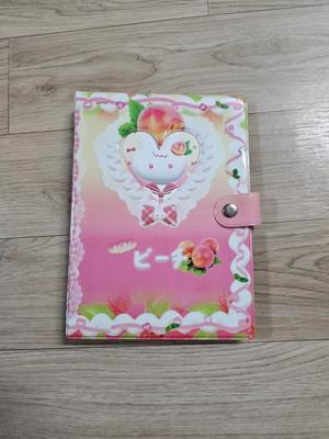 Rabbit Kim's Peach Binder Used
