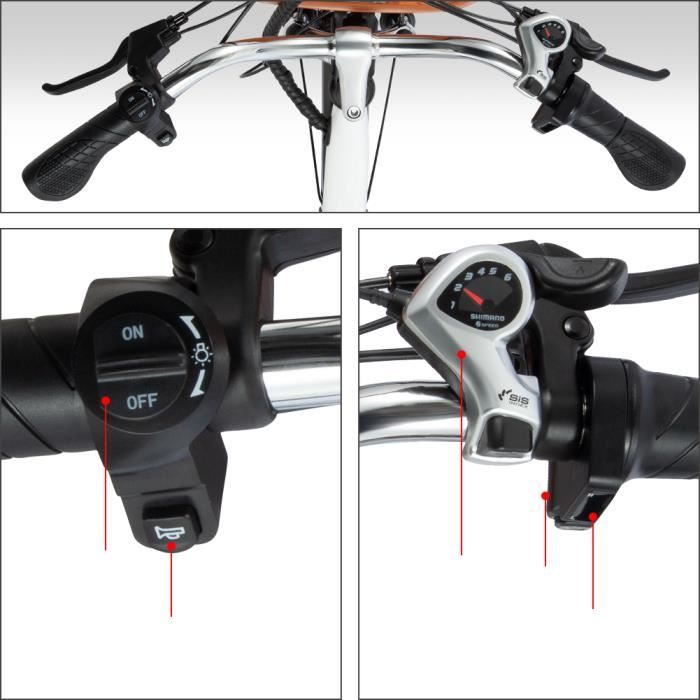 City Electric Bike - DYU - C6 - 350W Motor - 36V 12.5Ah Battery - Max Speed 25km/h