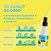 Plum BodyLovin Hawaiian Rumba Body Mist for Women 150ml Pack of 1 | Long Lasting Tropical Fragrance Travel Friendly