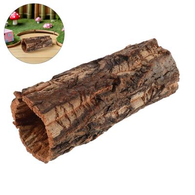 Reptile – Terarii pentru reptile