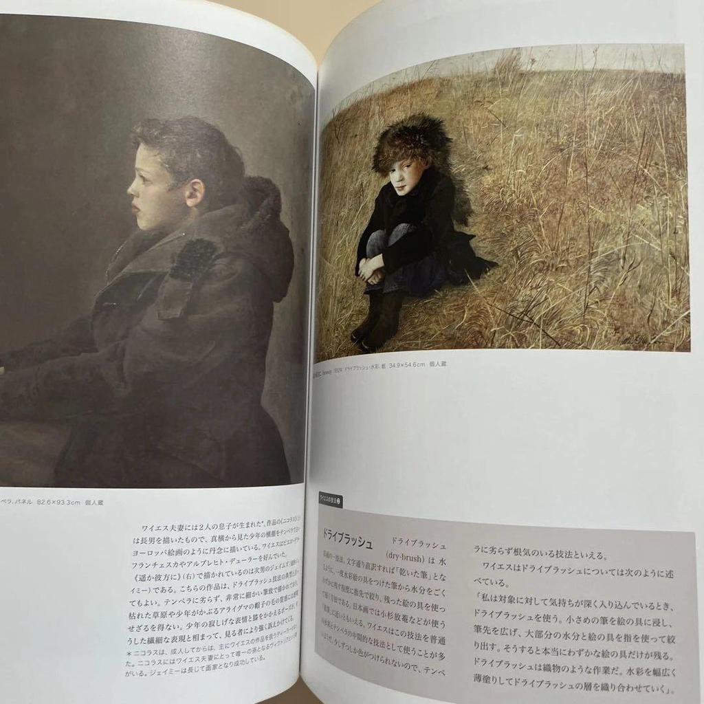[USED] Andrew Wyeth Collection