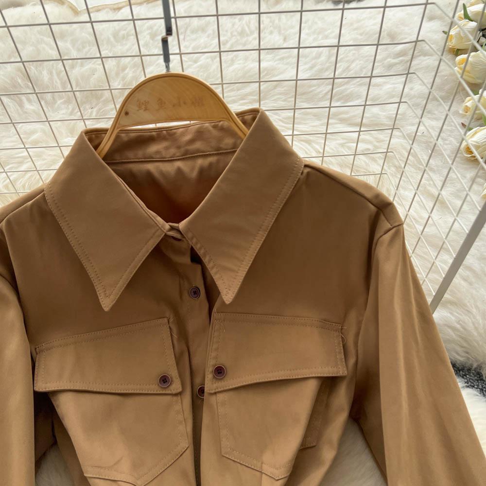 French Light Maturity Minimalist Retro Lapel Long Sleeve Single Button Waist Cinching Dress Women Autumn Slim Fit Elegant Maxi Dresses