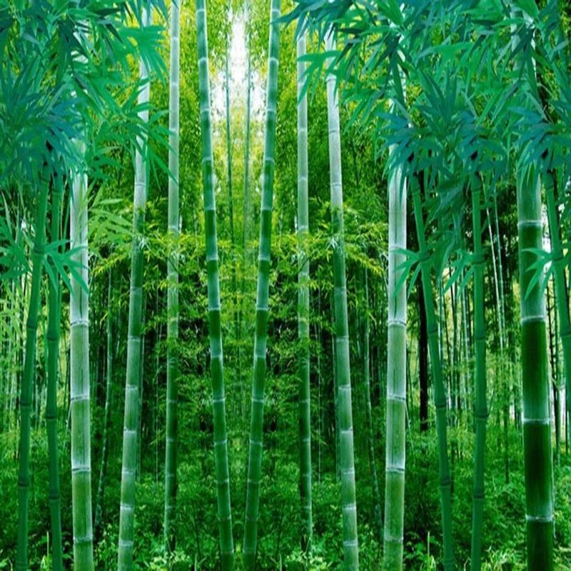 3d Green Bamboo Forest Wall Mural Living Room Tv Sofa Bedroom Study 3d Wall Paper Landscape Wallpaper Decor