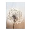 Dried Grass Wall Art Print Nordic Posters Highland Elk Canvas Painting Landscape Dandelion DecorationPictures for Home Room Art