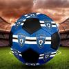 SC Bastia Soccer Ball, Colorful, Suitable for All Ages, Machine-stitched, PVC Material, Competition Grade, Durable and High Bounce