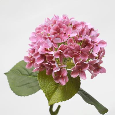 Long Feel Moisturizing French Hydrangea Simulated Flower Photography Props Home Decoration Ornament Fake Flower