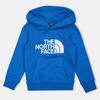 The North Face Boys Drew Peak Cotton Fleece Lined Relaxed Fit Hoodie