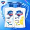 Safeguard Antibacterial Hand Soap & Arowana Pearl Rice Bundle
