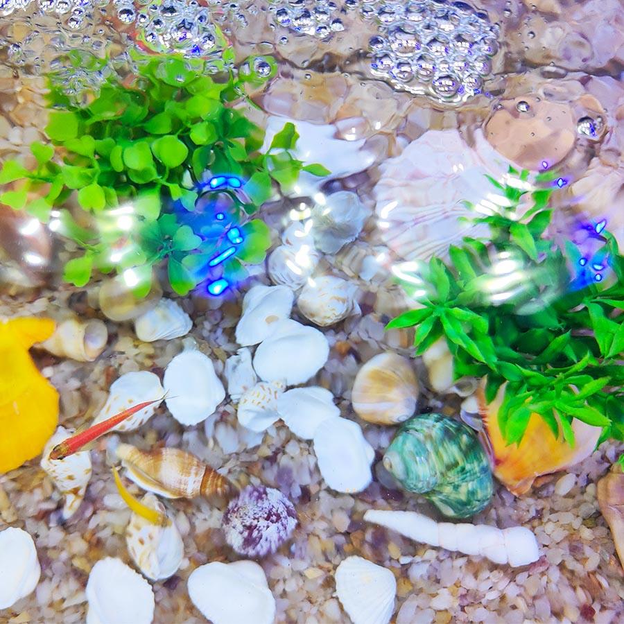 200G Beach Seashell Mediterranean Style DIY Fashion Mix Sea Shells Natural Crafts for Aquarium Fish Tank Decor Sea Conch