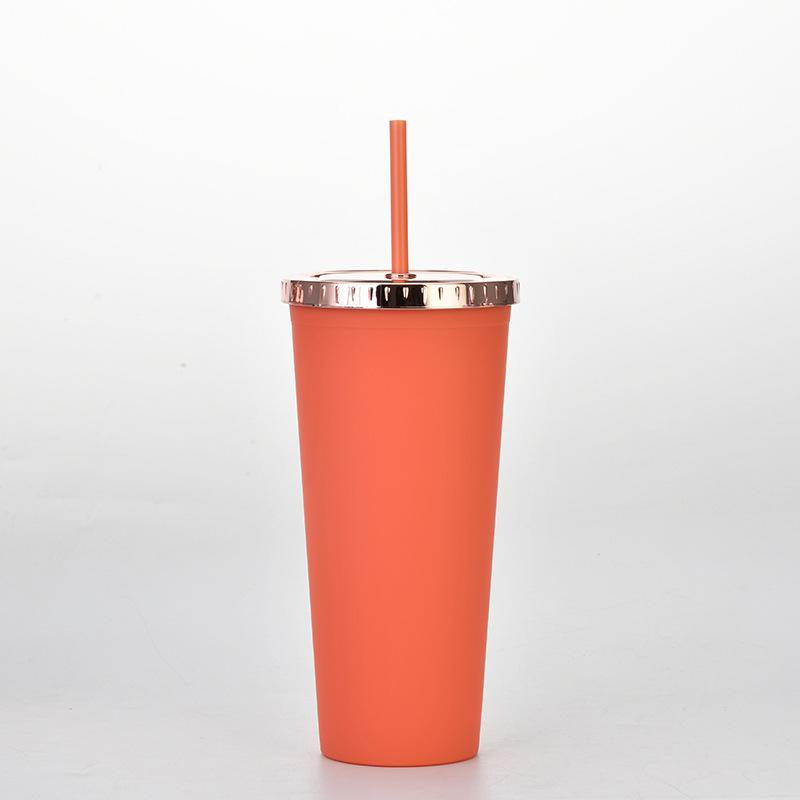 Plastic Water Cup Fashionable Rose Gold Cover Matte Multi-Color Double-Layer Plastic Straw Cup