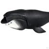 Action Figures Hand-Painted Creature Shark Sea Life Marine Toys Decorative Gifts for Kids