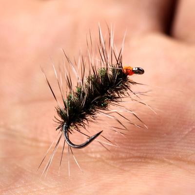 Bimoo 6PCS/Pack Dry Fly Griffith's Gnat Midge Fly Trout Fly Fishing Flies Bait Size 14 16 18 20