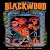 Blackwood The Mourning After by Andy Fish Paperback Book 9781506716923