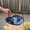With Hook Bird Bath Bowl Large Capacity Bird Drinking Tray Bird Supplies Feeding Bowls  Outdoor Use