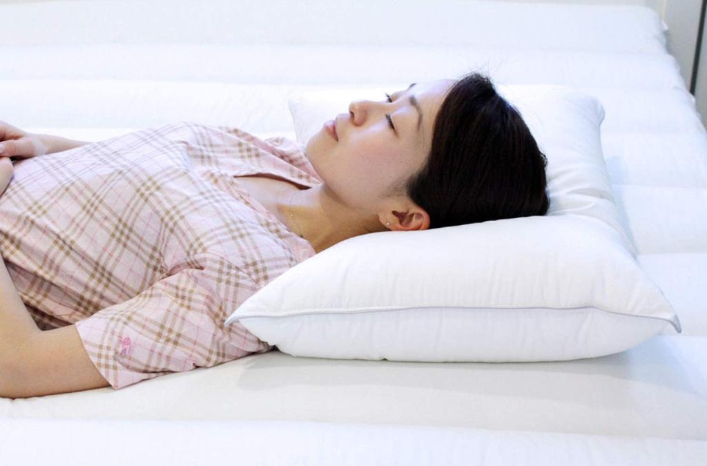 Danfill Fiber Pillow with Premium Satin Pillow Cover, White, Standard Size (JPA221-AKF01G)