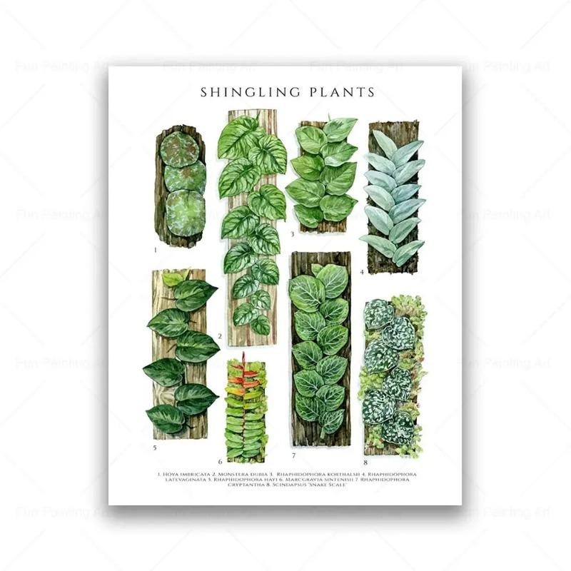 Botanical House Plant Canvas Painting Educational Poster Leaves Print Wall Art Picture Kids Room Decor Plant Lovers Gift